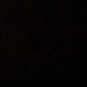 Meet your Posher, Lanetra